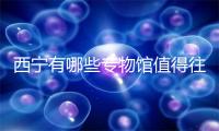 西宁有哪些专物馆值得往